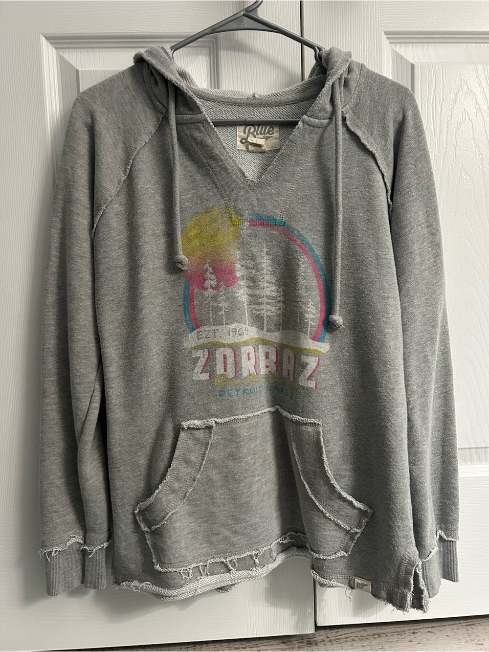Zorbaz Detroit Lakes Distressed Hoodie Women’s sz S